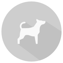 icon-dog-bite