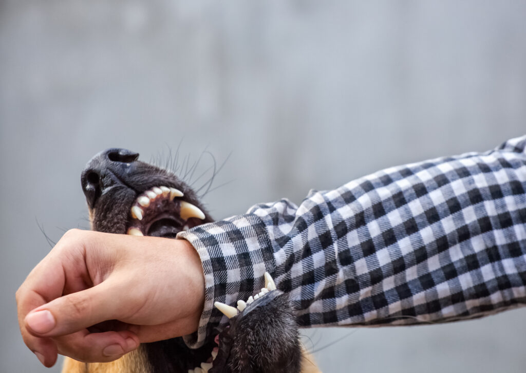Is Idaho a One-Bite State or Strict Liability?